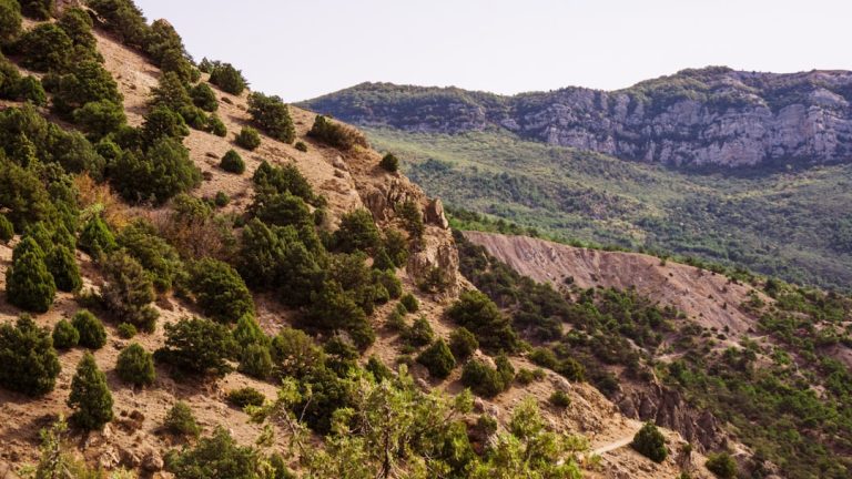 Embarking on a Budget: Outdoor Adventures That Won’t Break the Bank