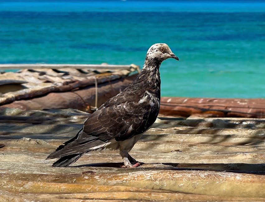 Green Horizons: Navigating the World of Eco-Friendly Travel